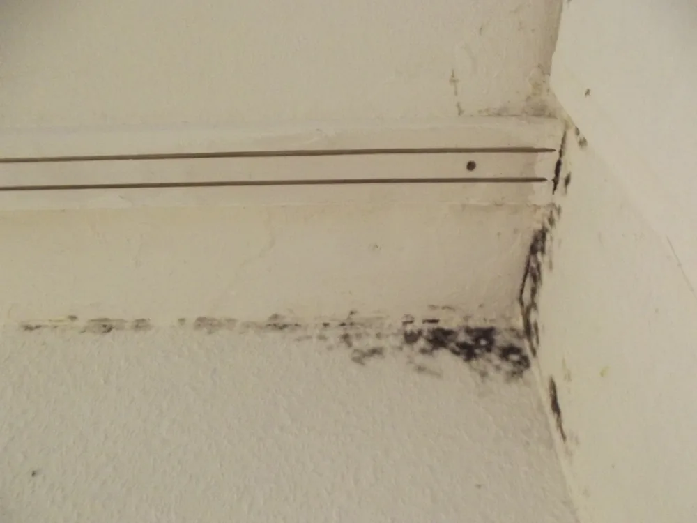 Technician in protective gear removing a mold-damaged wall in a Cowpens home